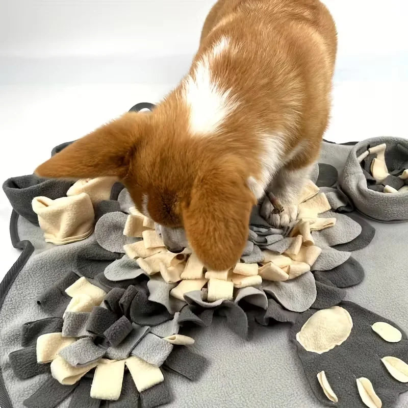 Premium Nosework Mat