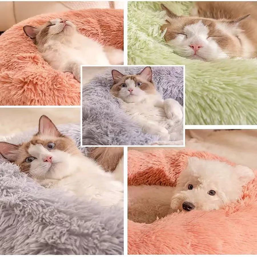 Calming Donut Bed