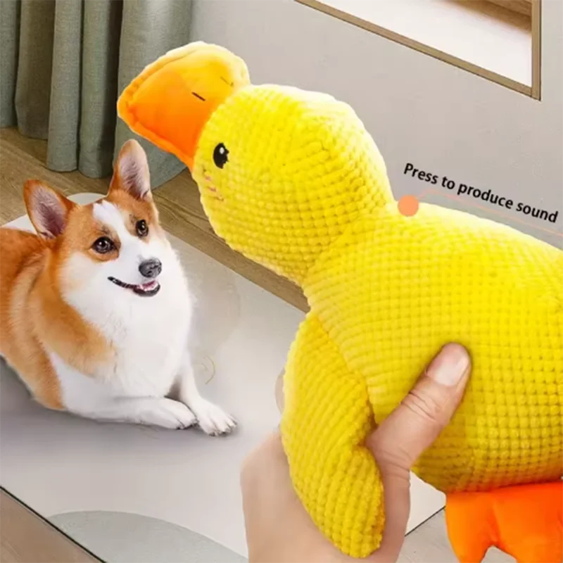 Comfort Duck Companion