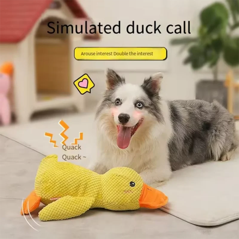 Comfort Duck Companion