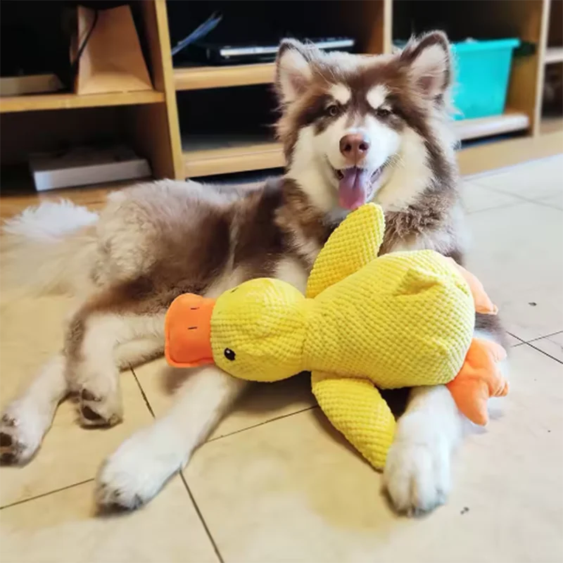 Comfort Duck Companion