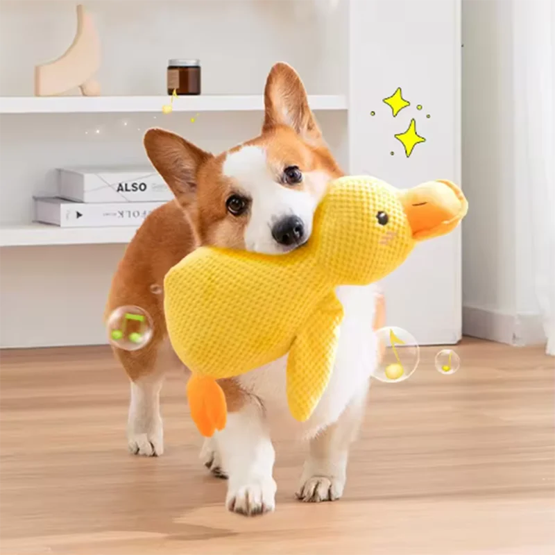 Comfort Duck Companion