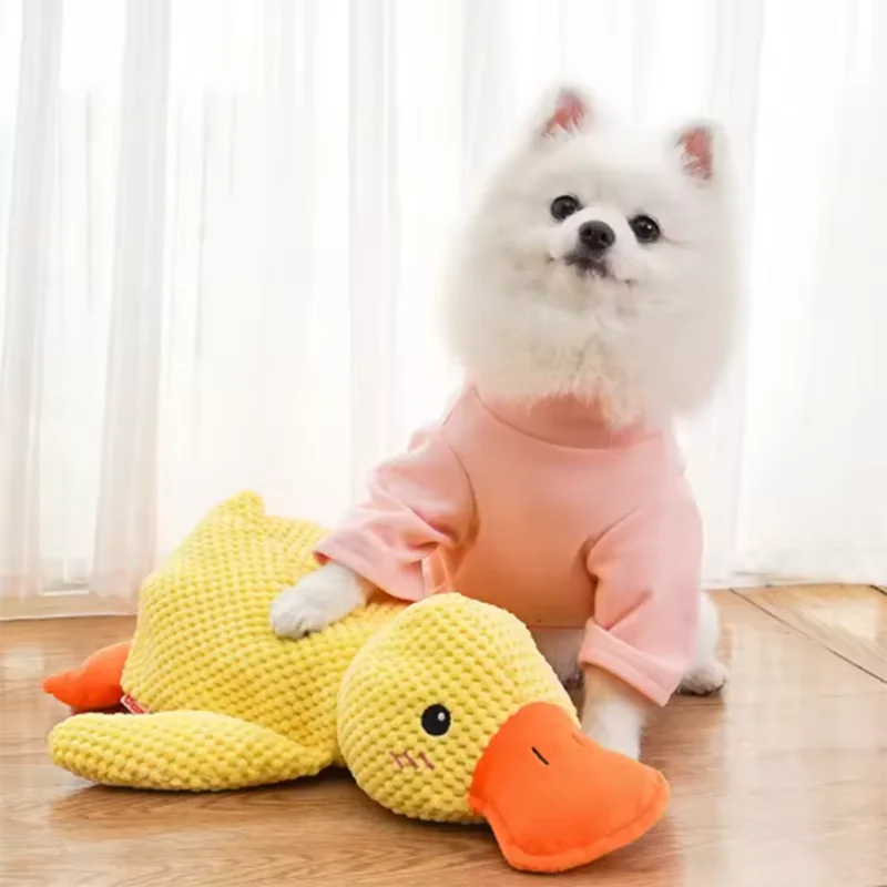 Comfort Duck Companion