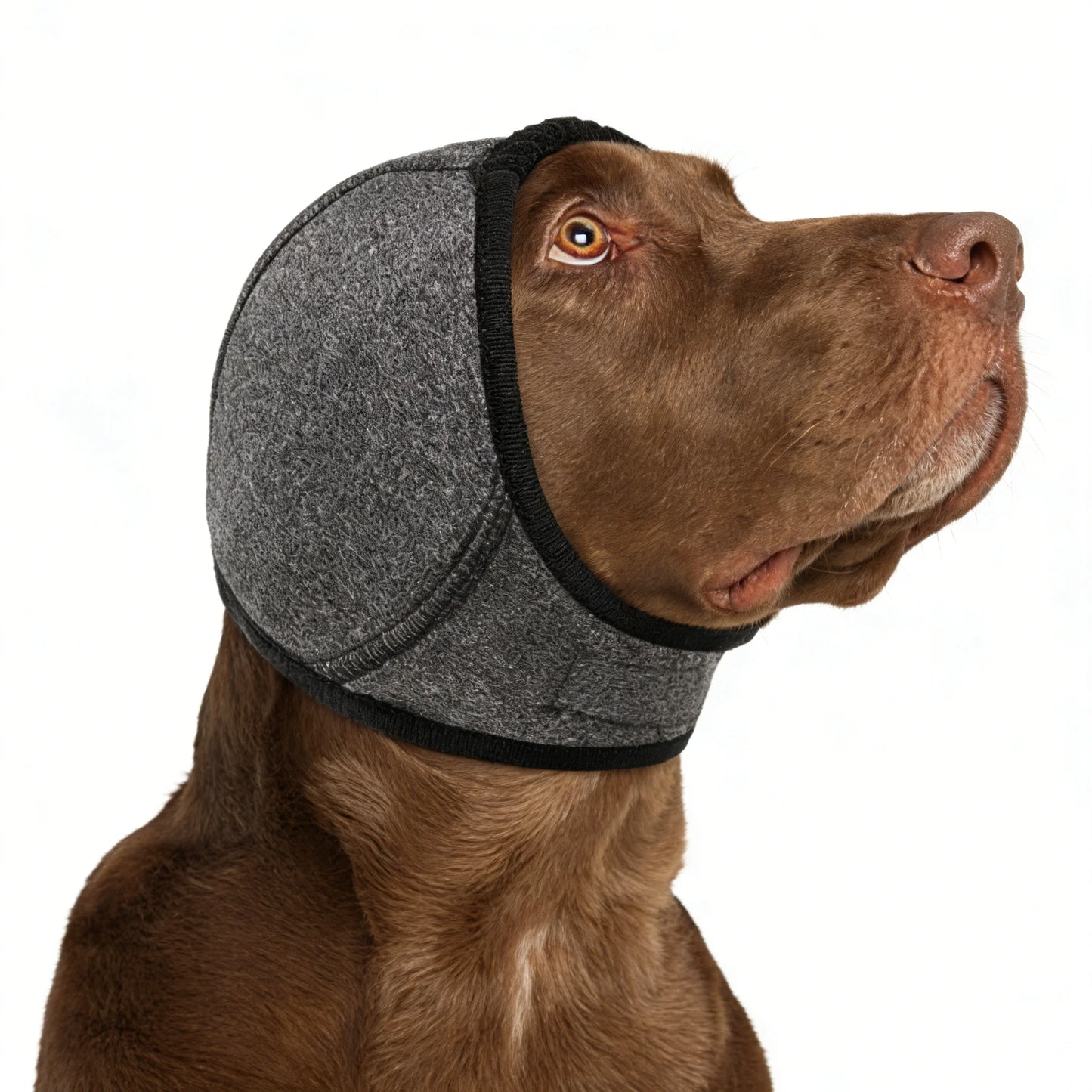 Comfort Hoodie & Ear Wrap