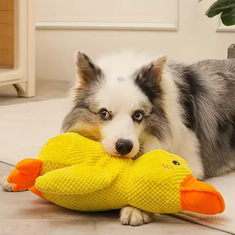 Comfort Duck Companion