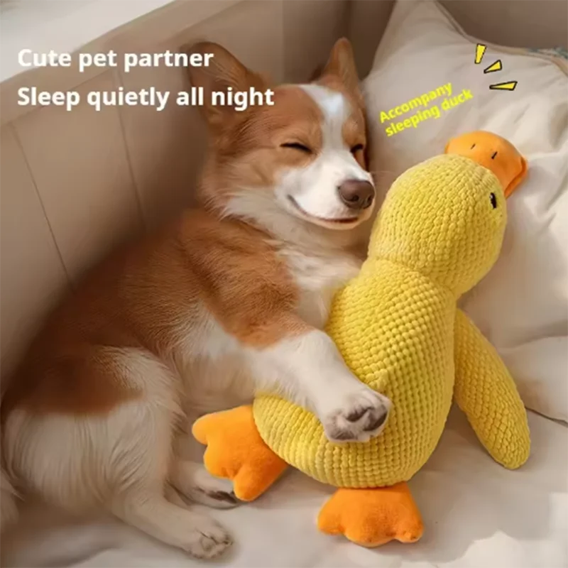 Comfort Duck Companion