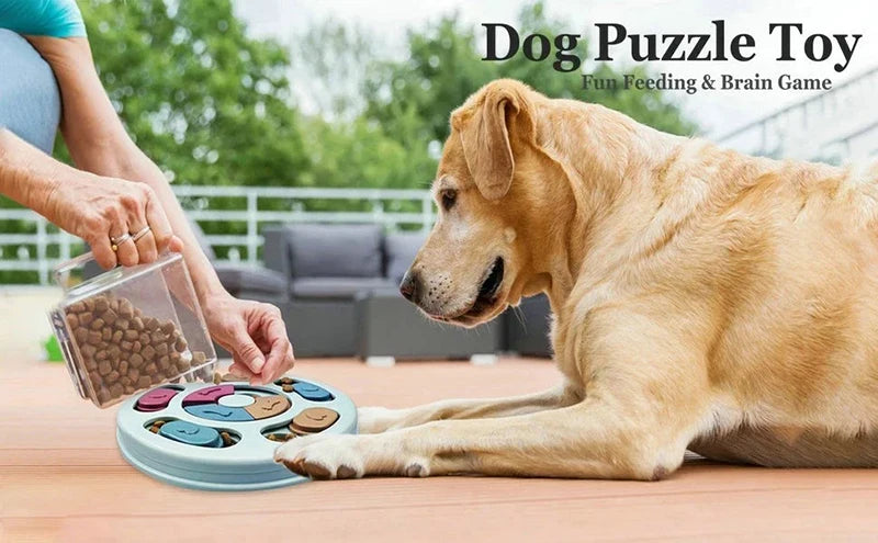 Enrichment Puzzle Feeder