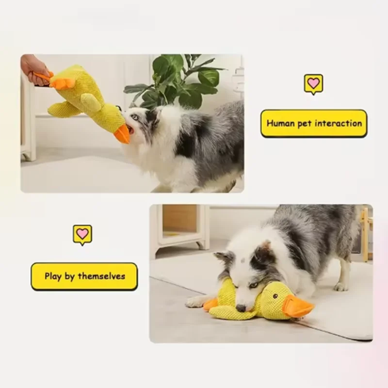 Comfort Duck Companion