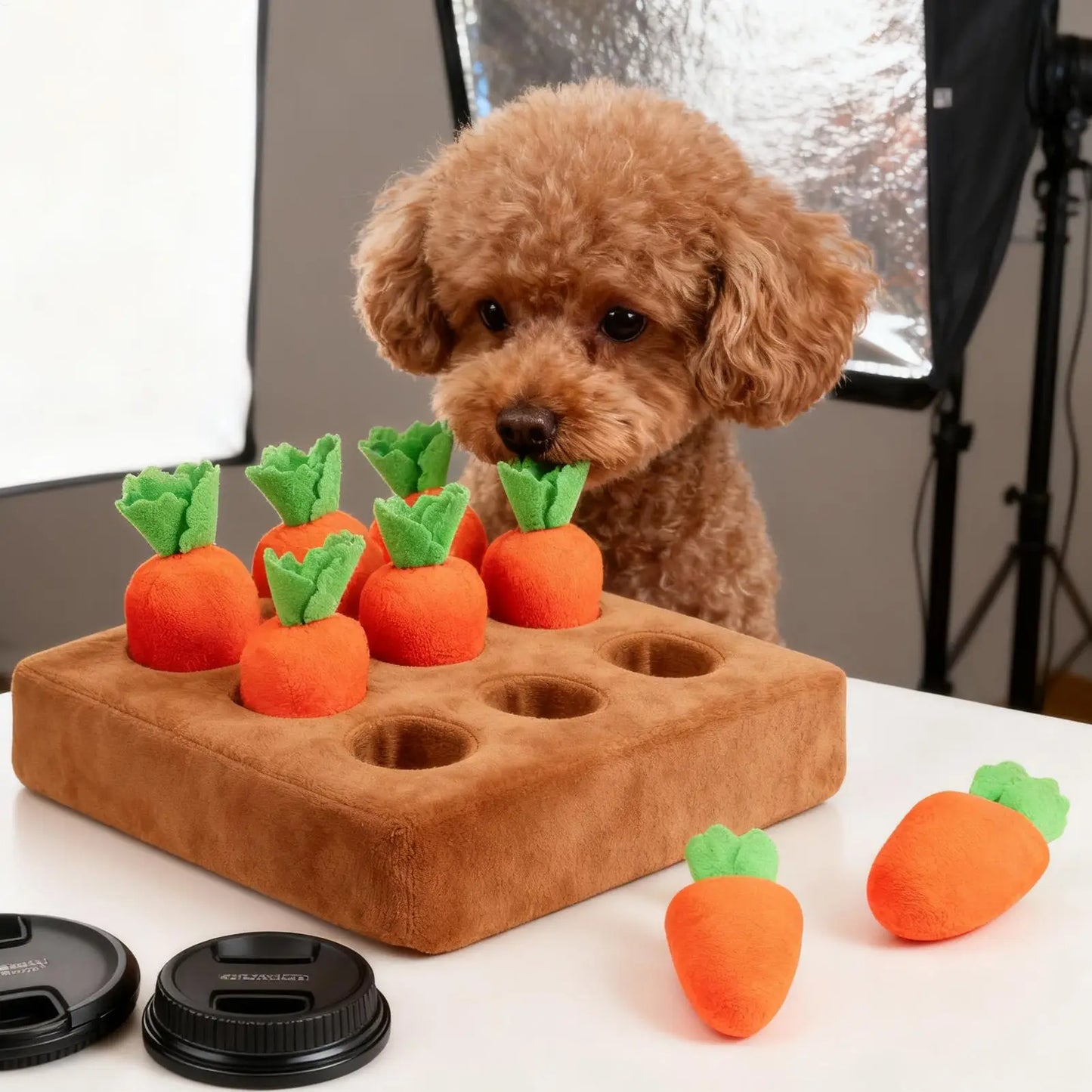 Forage & Play Snuffle Mat