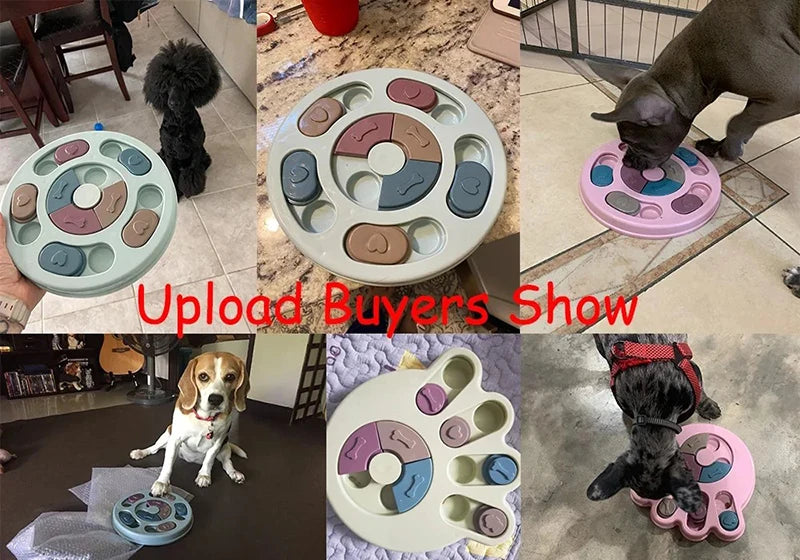 Enrichment Puzzle Feeder
