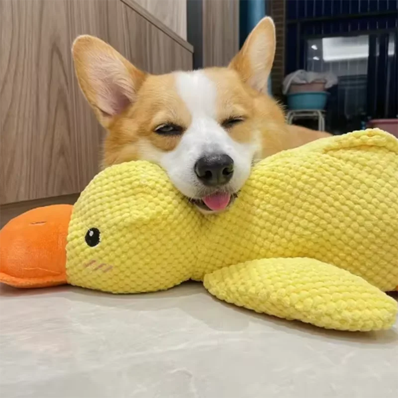 Comfort Duck Companion