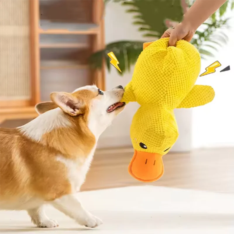 Comfort Duck Companion