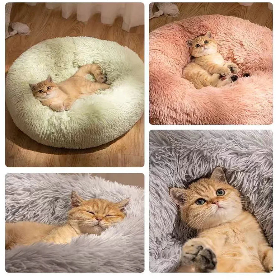 Calming Donut Bed